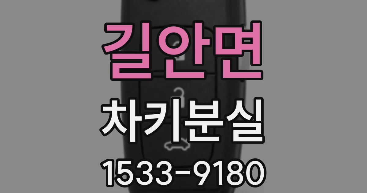 길안면 차키분실