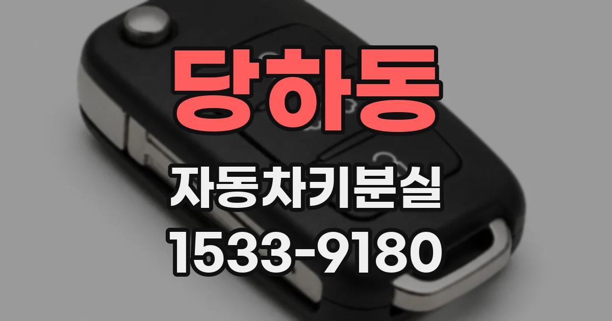 당하동 자동차키분실
