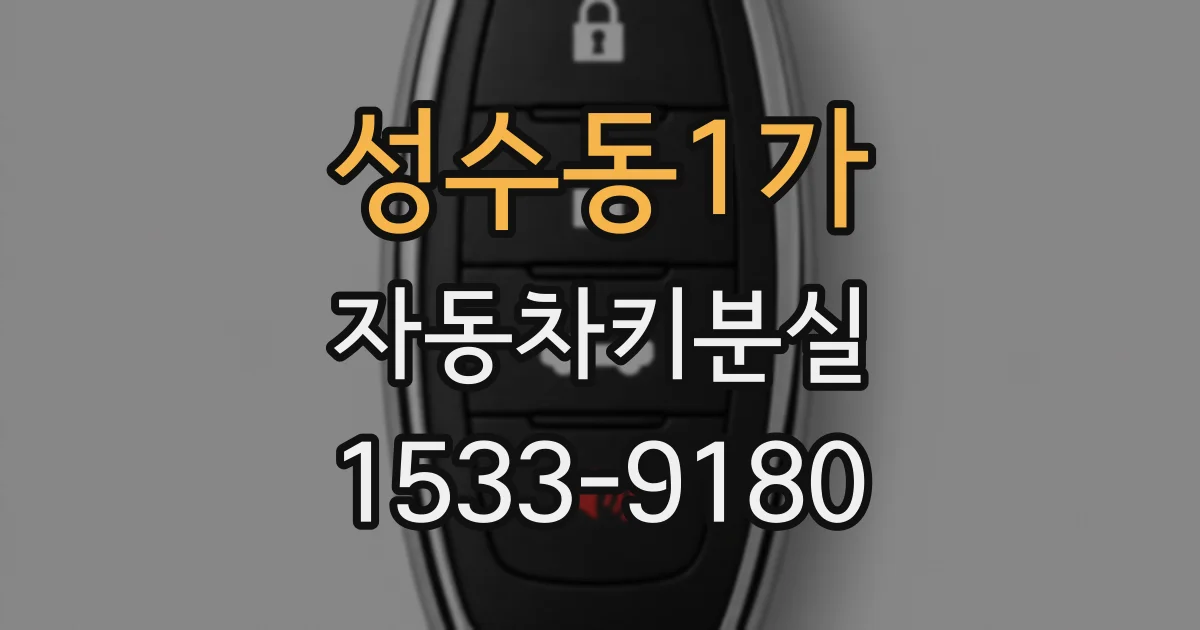 성수동1가 자동차키분실
