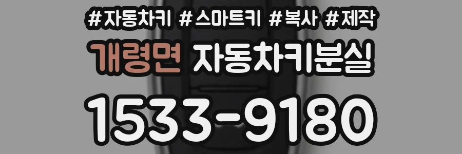 개령면 자동차키분실