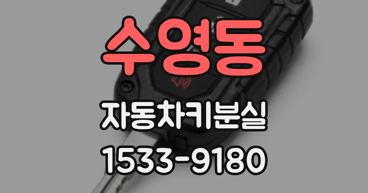 수영동 자동차키분실