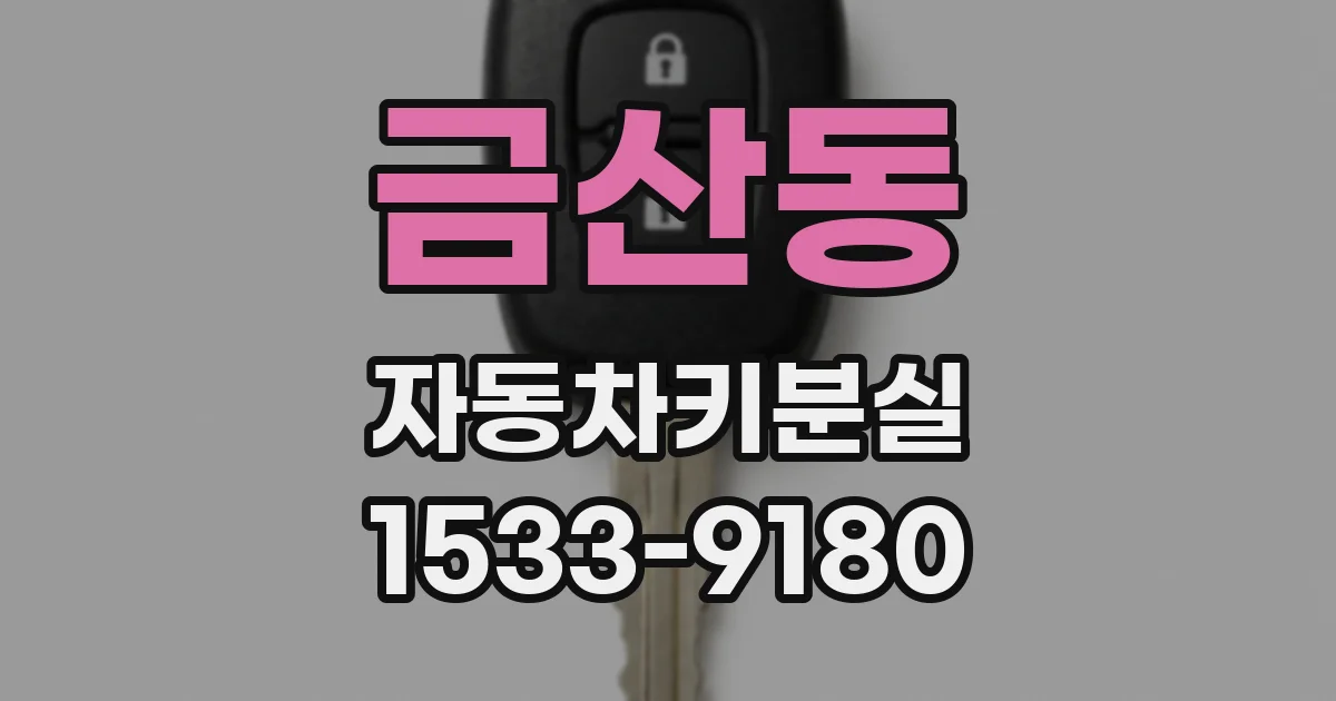 금산동 자동차키분실