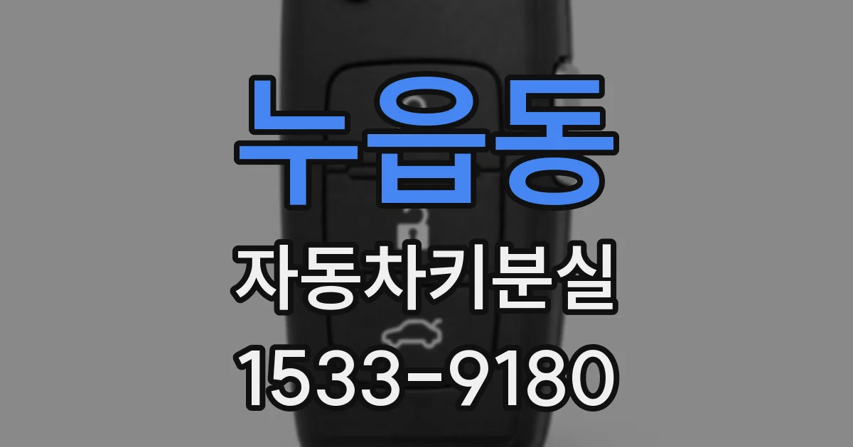 누읍동 자동차키분실