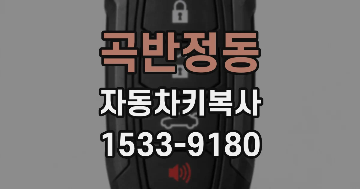 곡반정동 자동차키복사