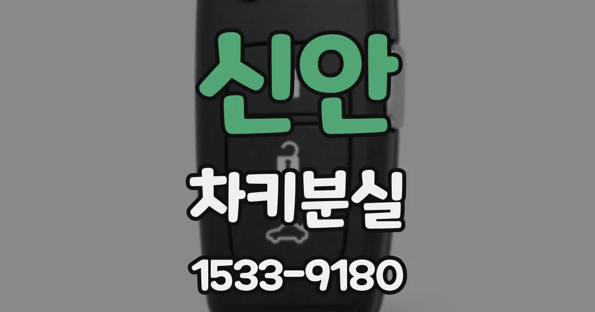 신안 차키분실