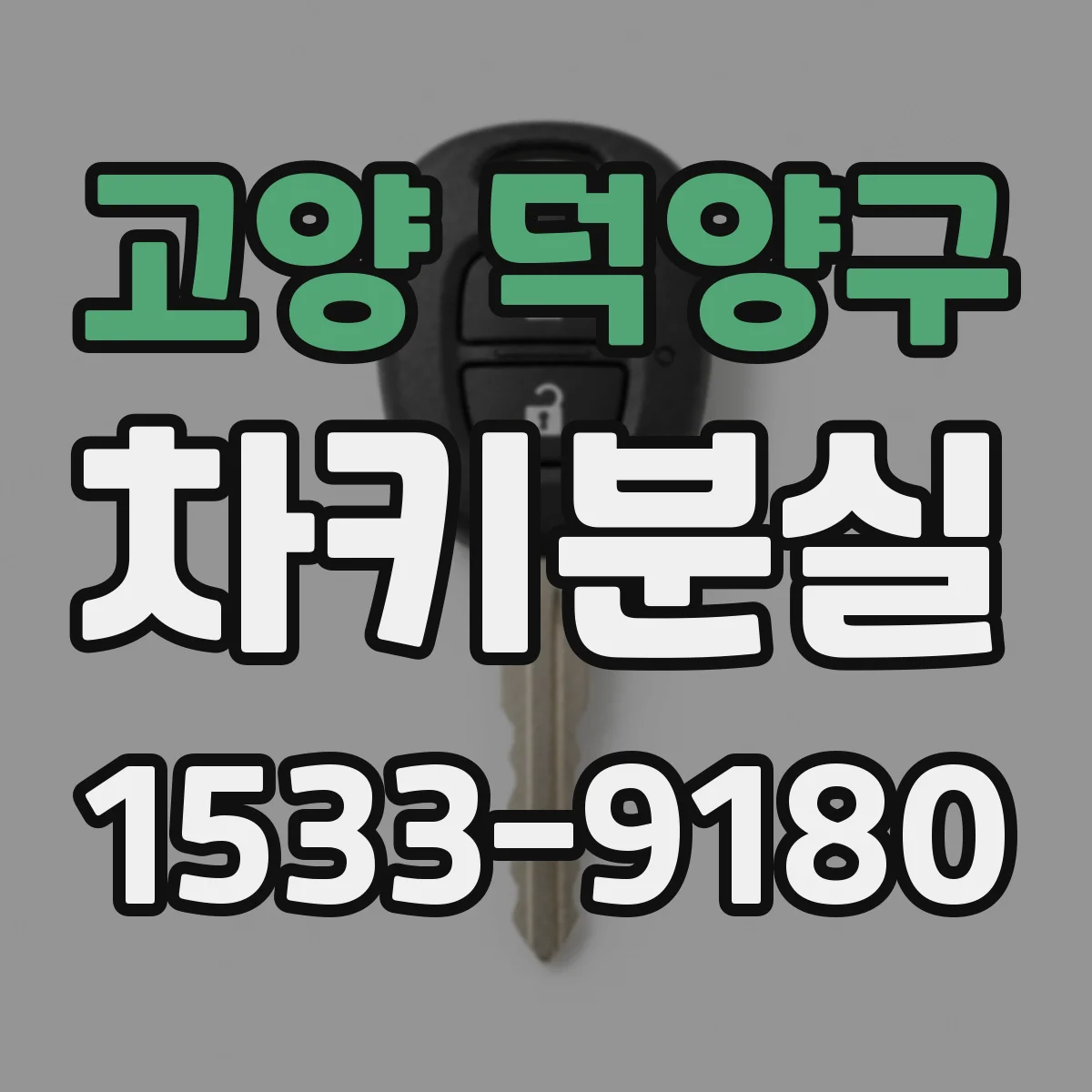 고양 덕양구 차키분실