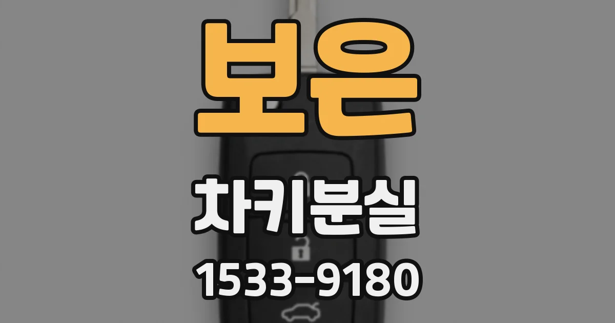 보은 차키분실