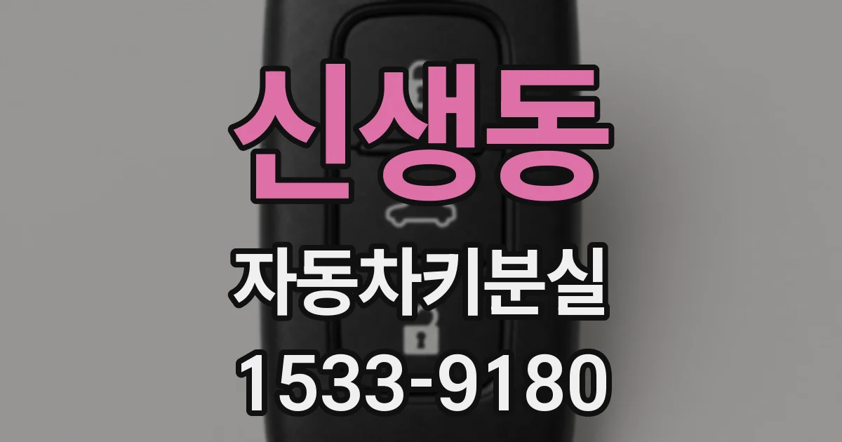 신생동 자동차키분실