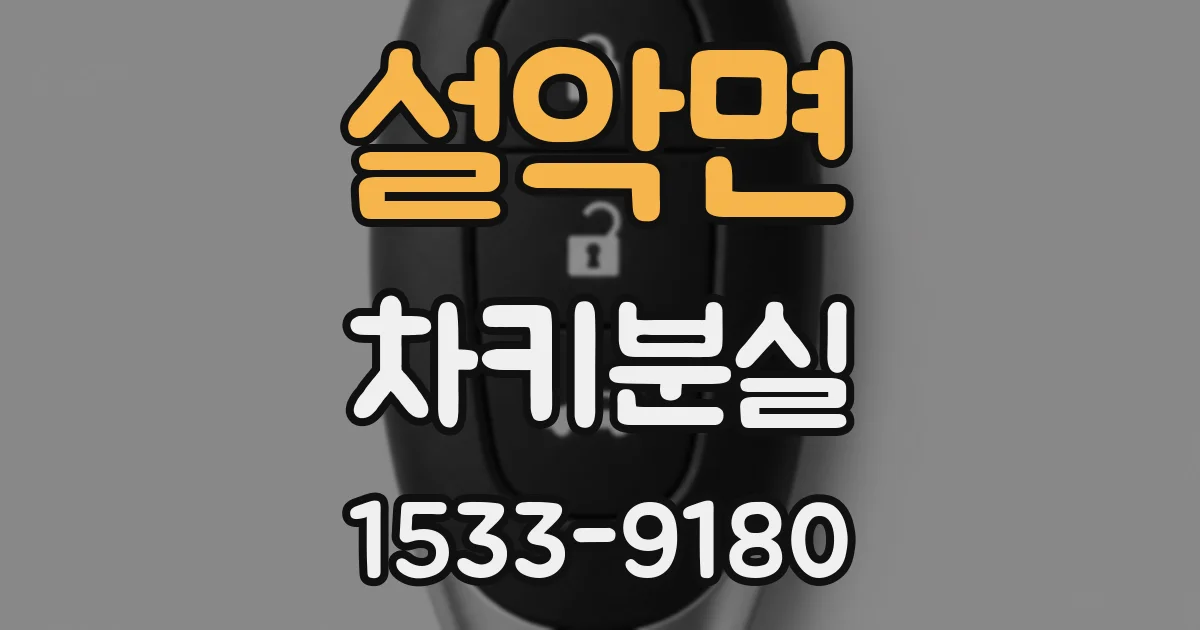 설악면 차키분실