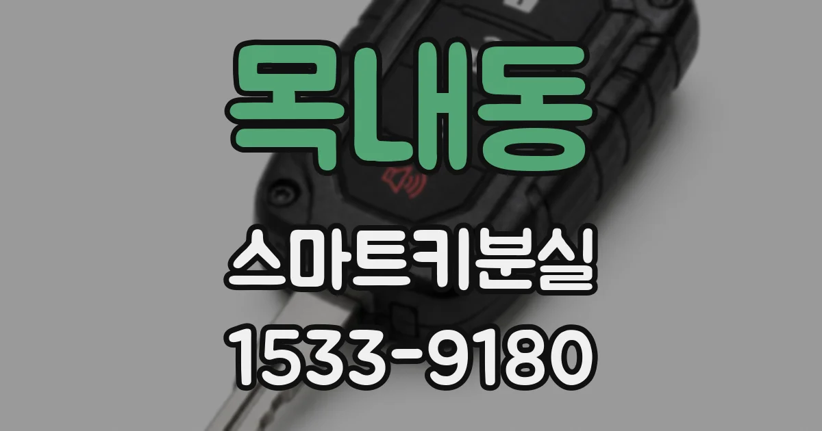 목내동 스마트키분실