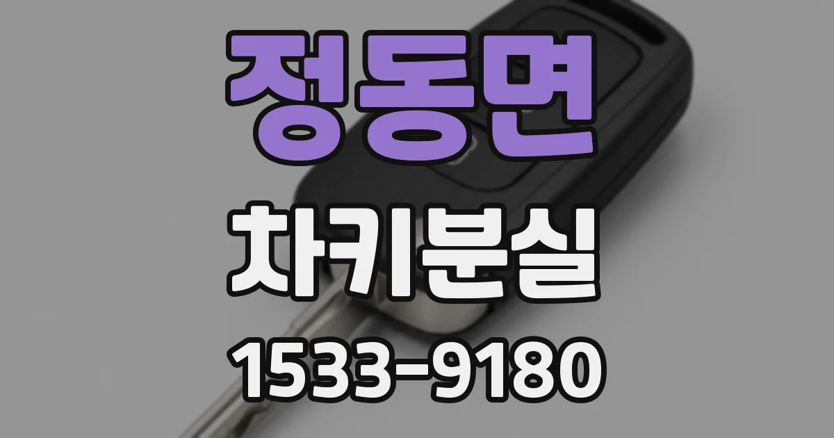 정동면 차키분실