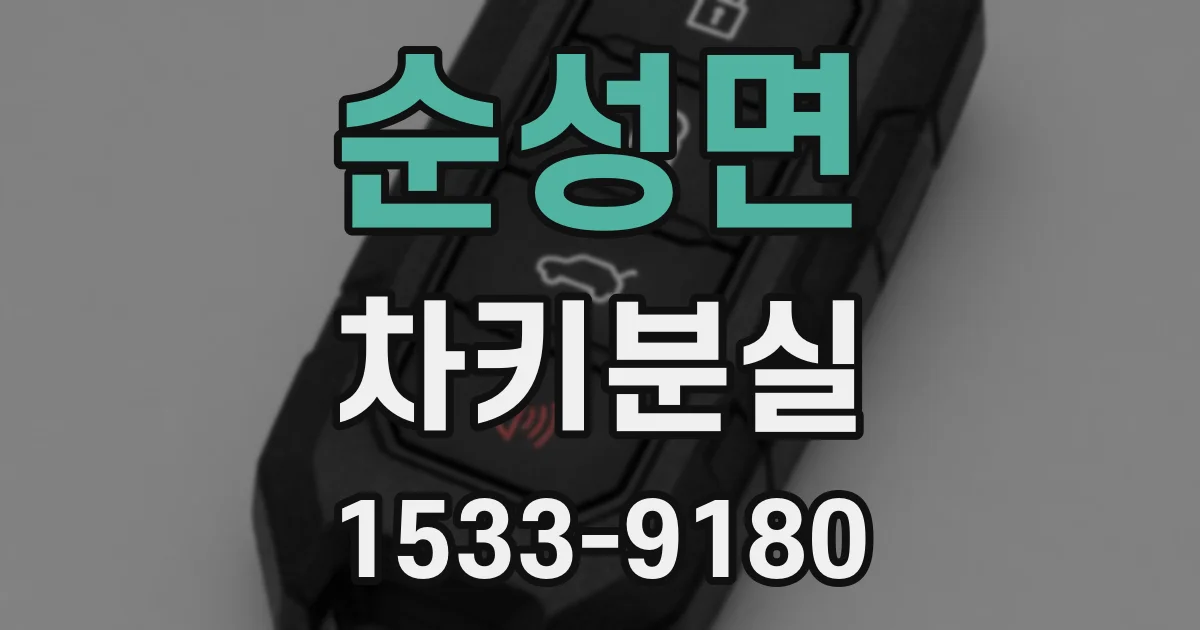 순성면 차키분실