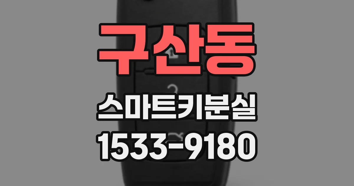 구산동 스마트키분실