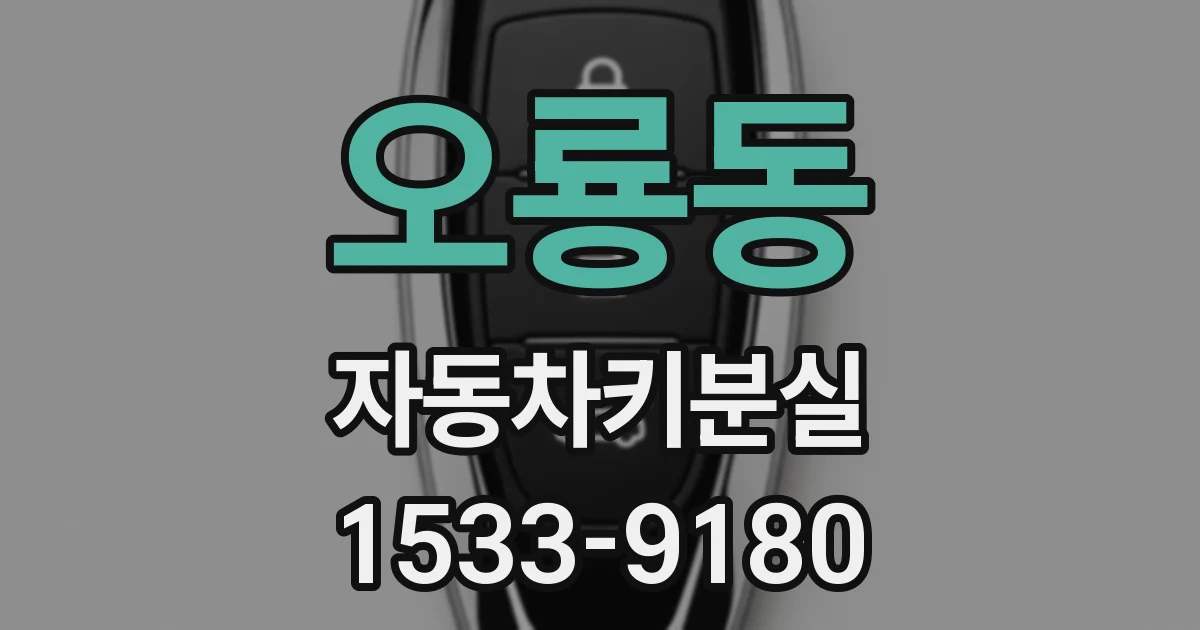 오룡동 자동차키분실