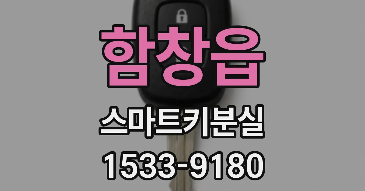 함창읍 스마트키분실