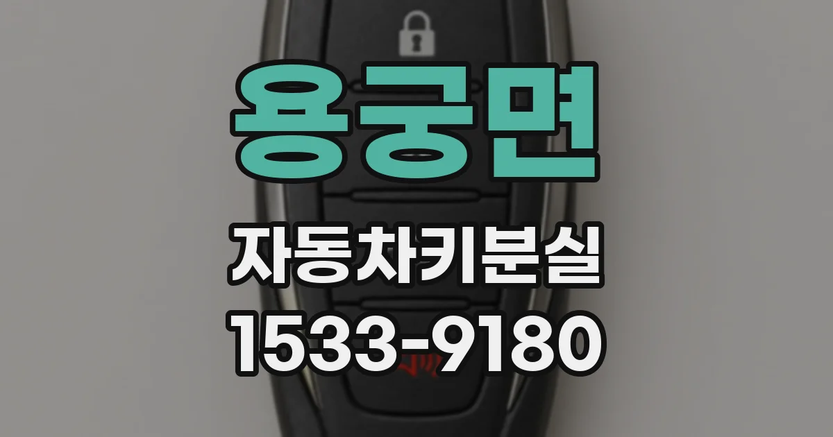 용궁면 자동차키분실