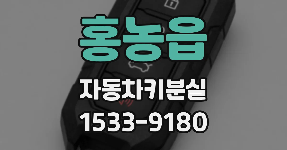 홍농읍 자동차키분실