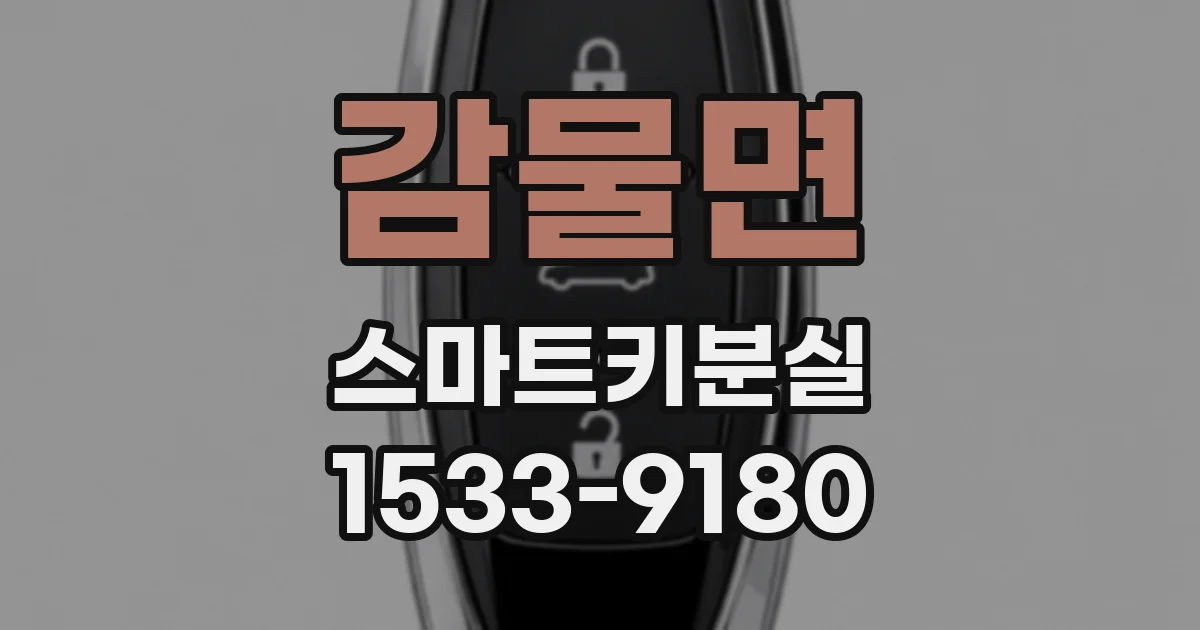감물면 스마트키분실