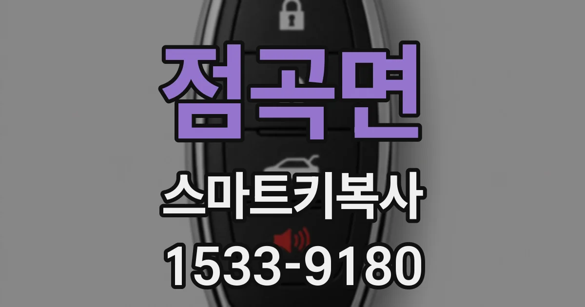 점곡면 스마트키복사
