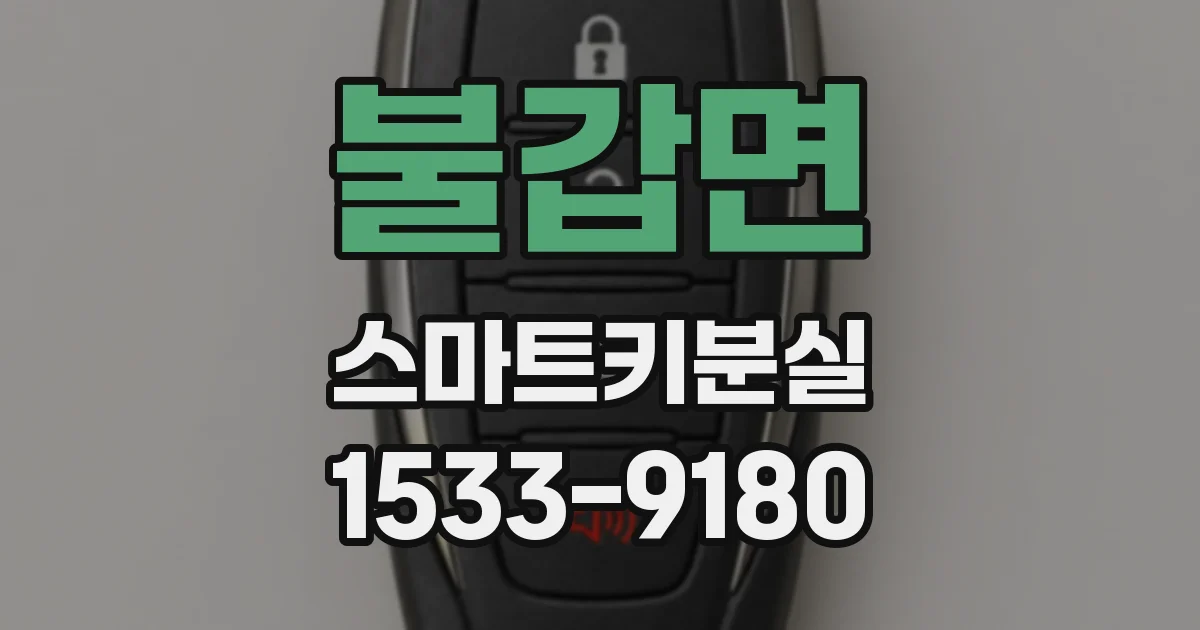 불갑면 스마트키분실