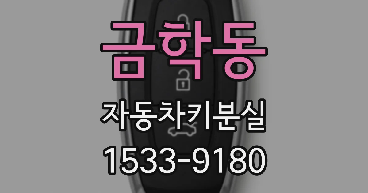 금학동 자동차키분실