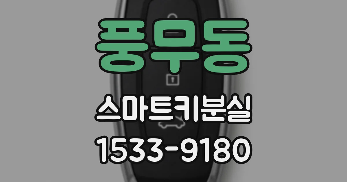 풍무동 스마트키분실