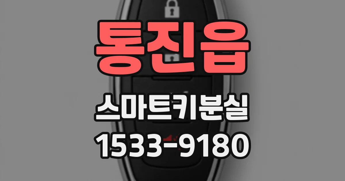 통진읍 스마트키분실