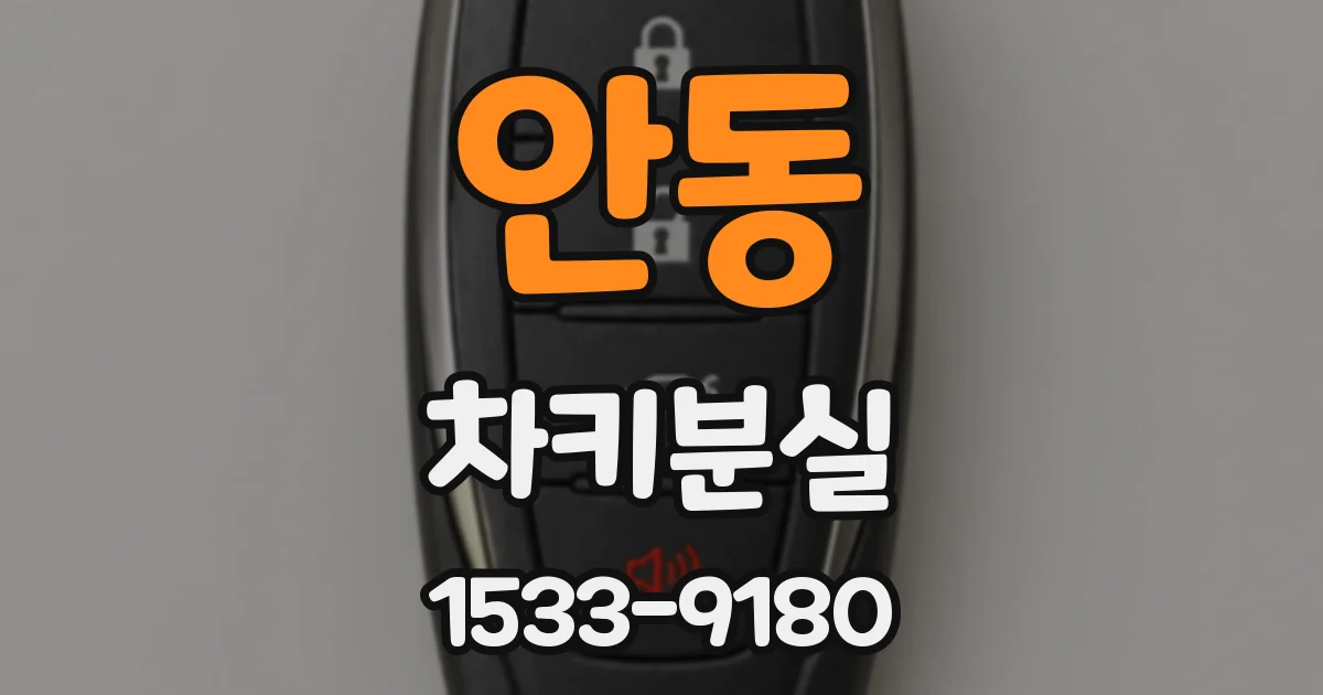 안동 차키분실