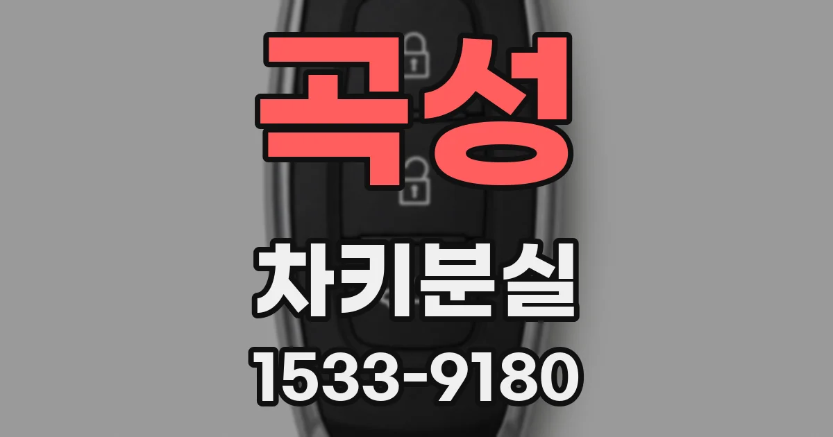 곡성 차키분실