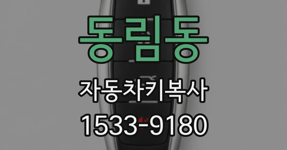동림동 자동차키복사