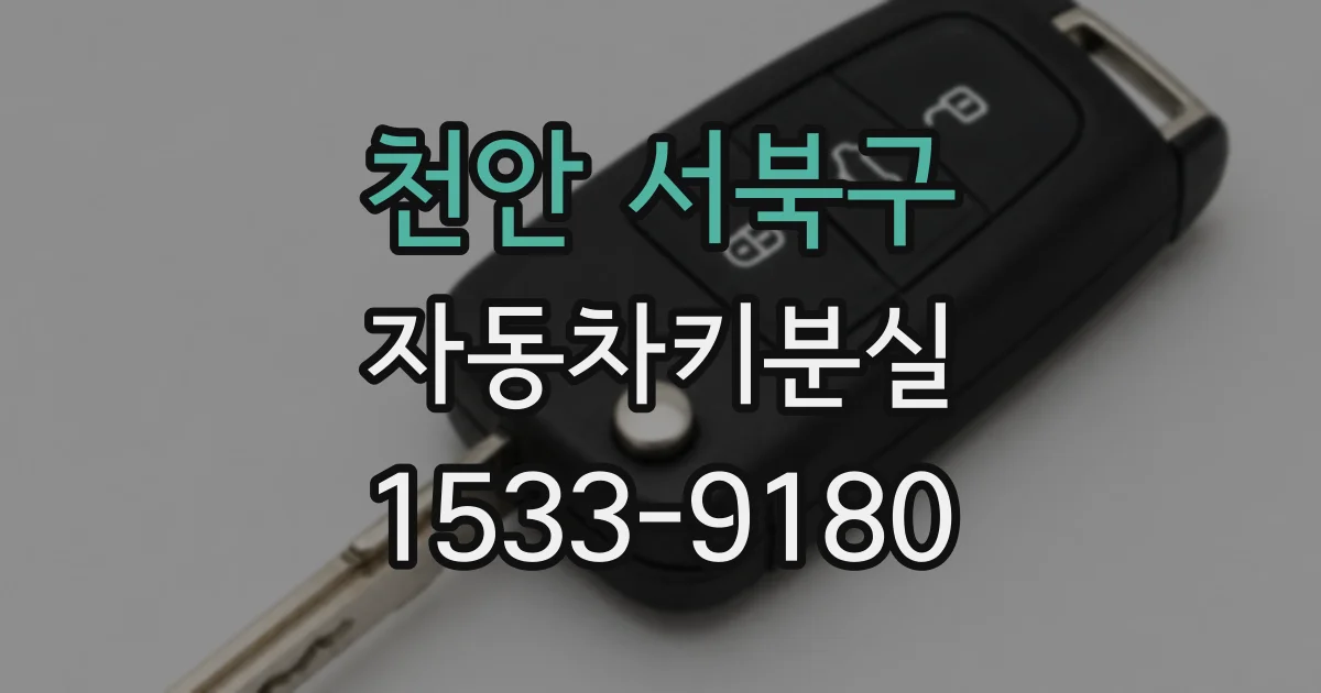 천안 서북구 자동차키분실