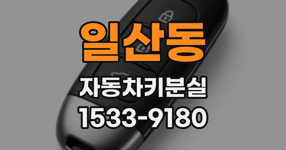일산동 자동차키분실