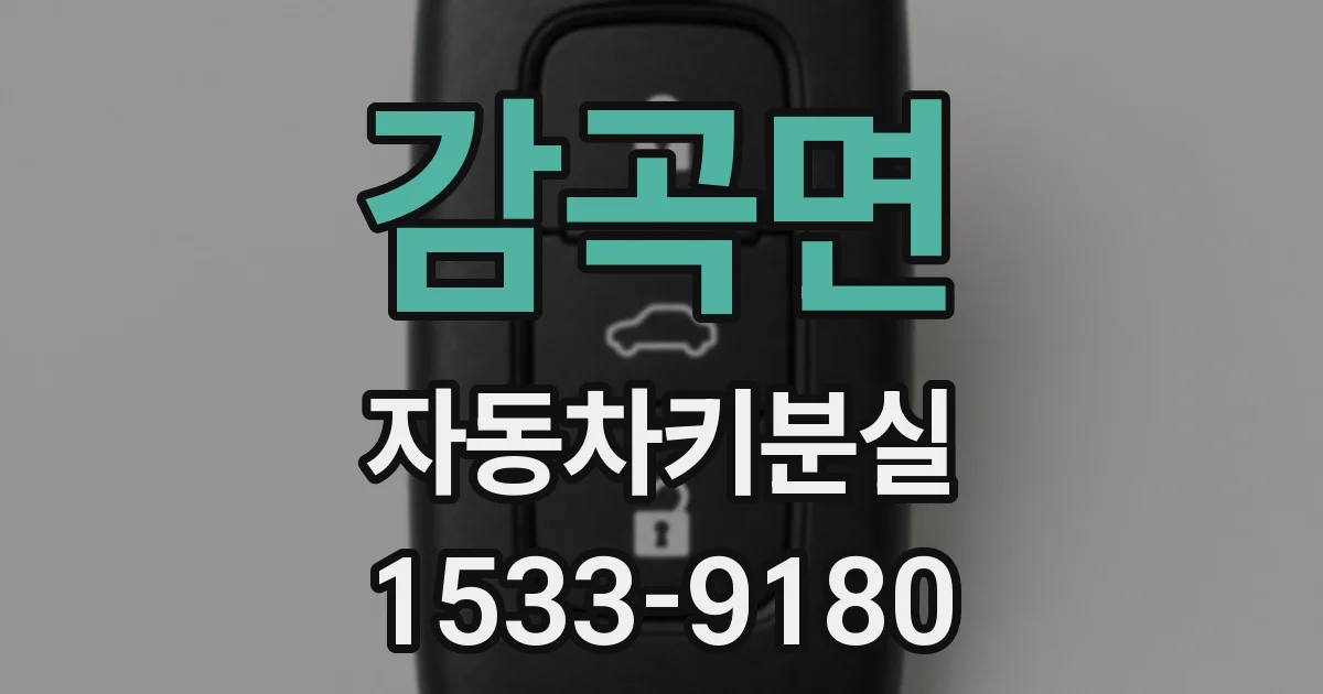 감곡면 자동차키분실