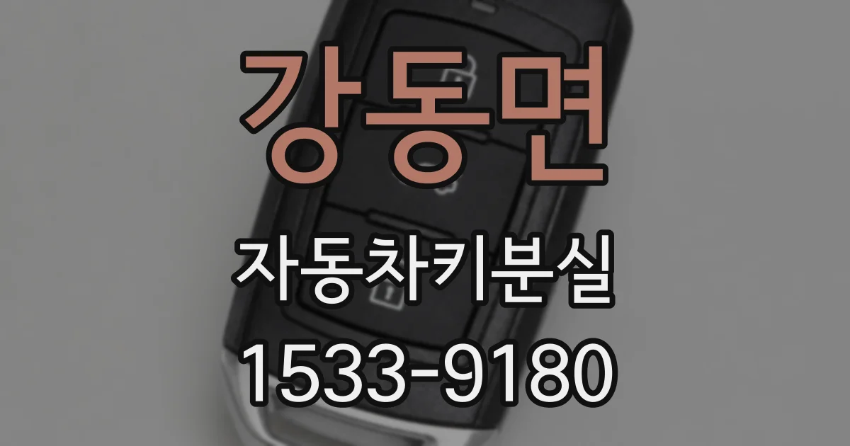 강동면 자동차키분실