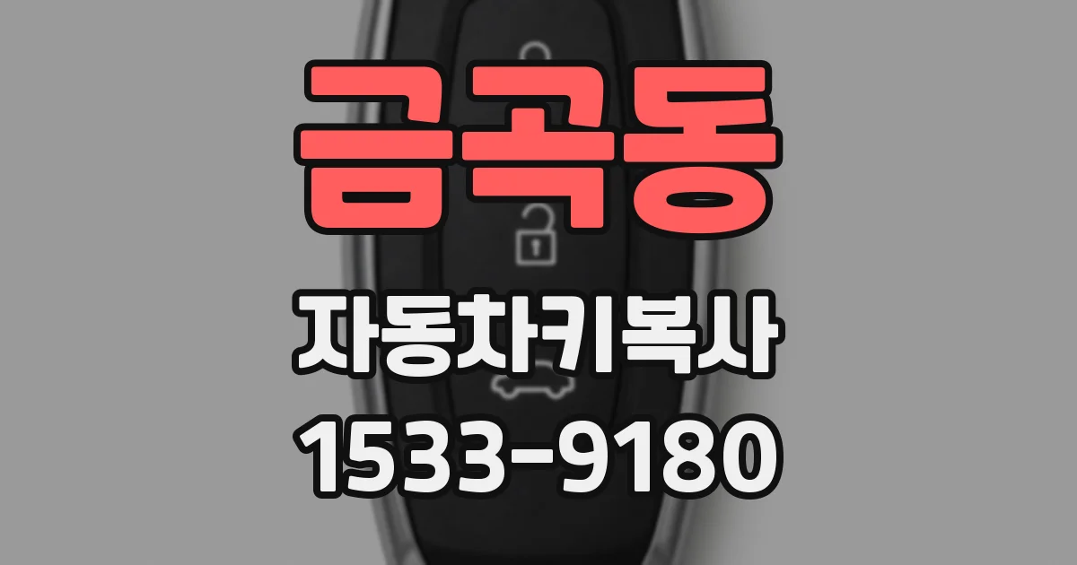 금곡동 자동차키복사