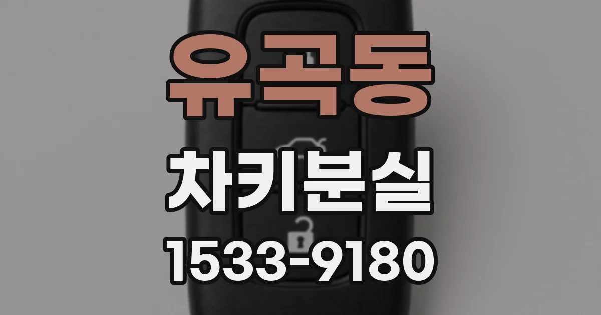 유곡동 차키분실