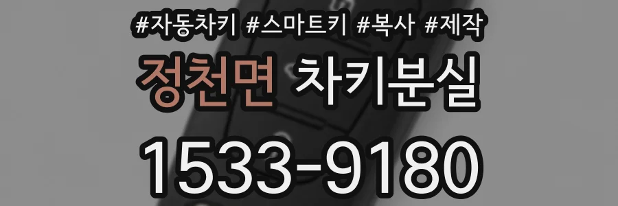 정천면 차키분실