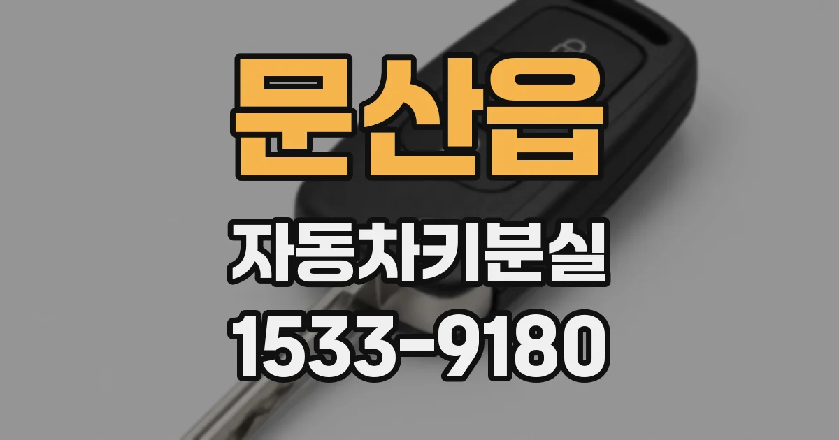 문산읍 자동차키분실
