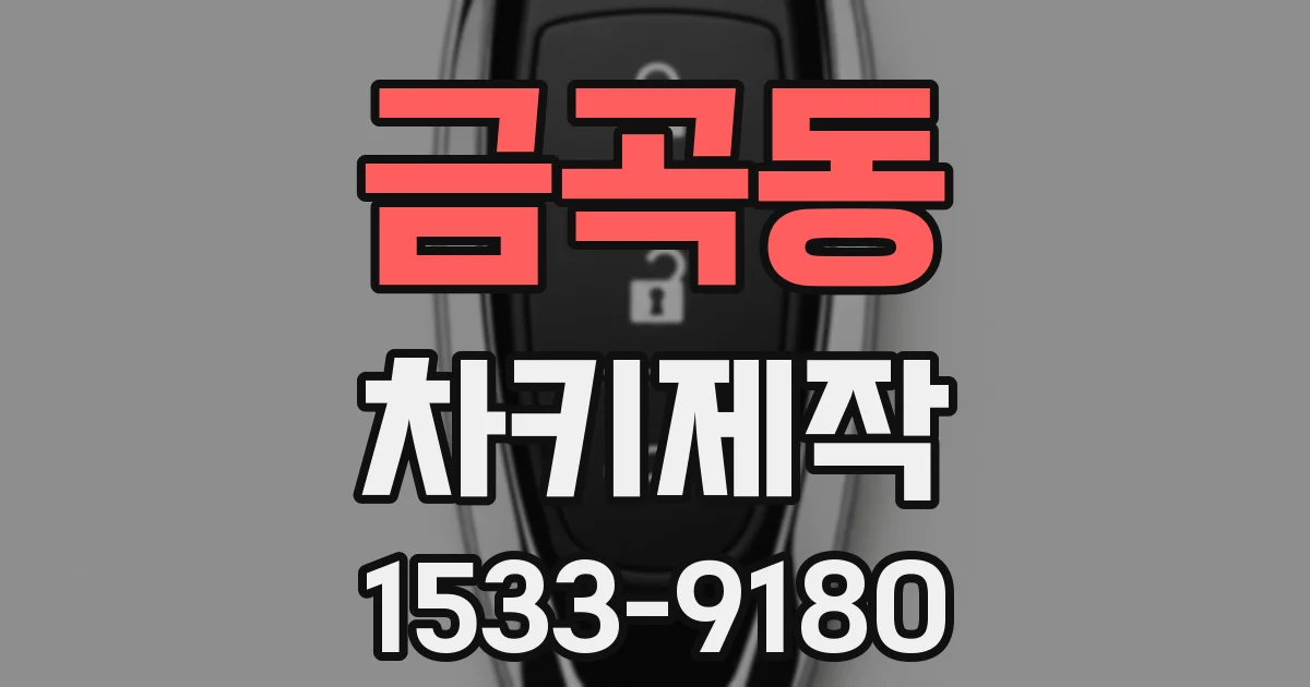 금곡동 차키제작