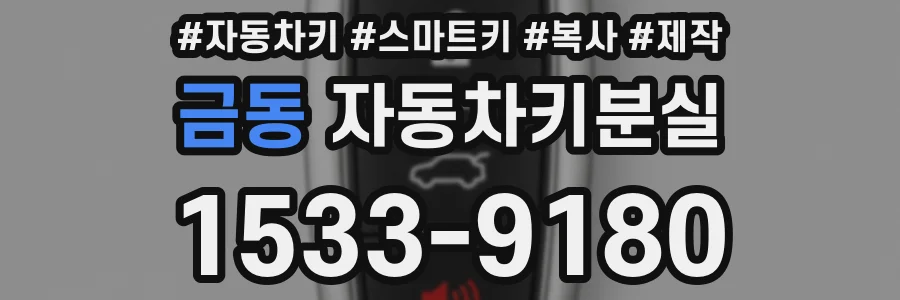 금동 자동차키분실