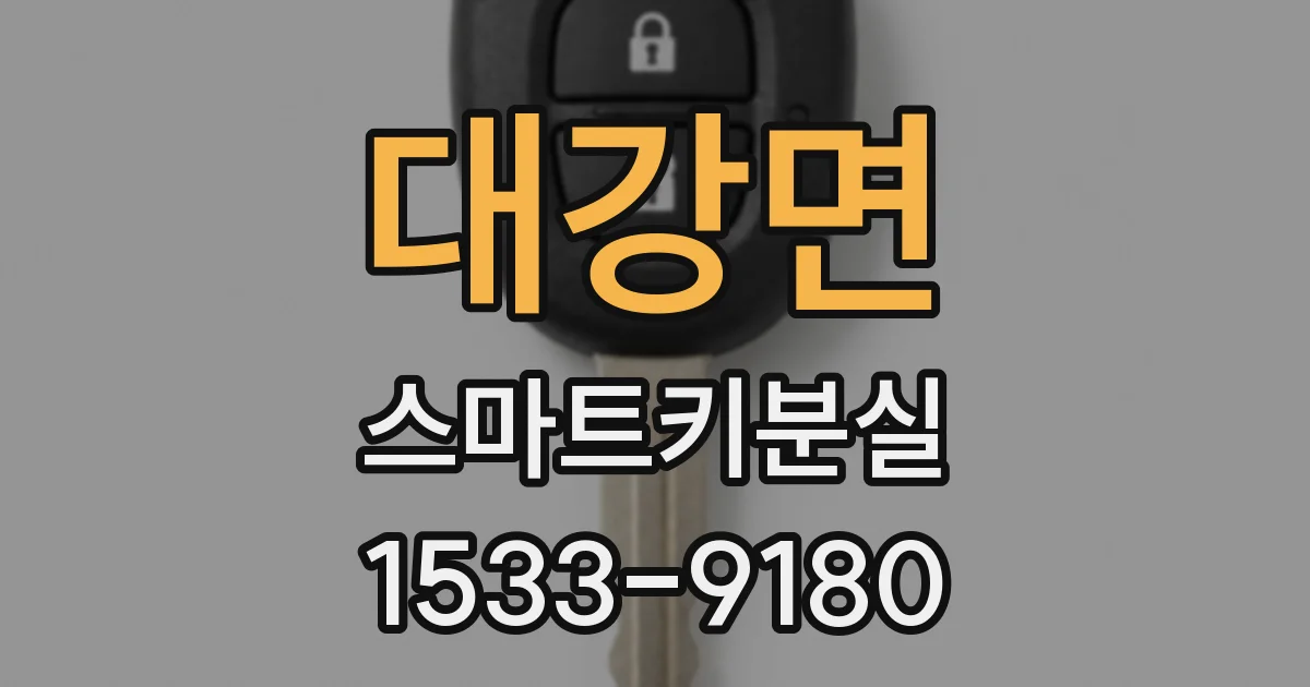 대강면 스마트키분실