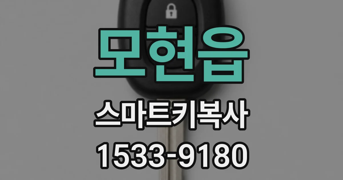 모현읍 스마트키복사