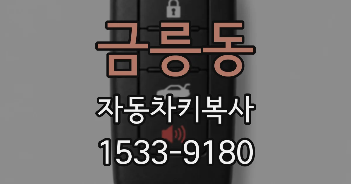금릉동 자동차키복사