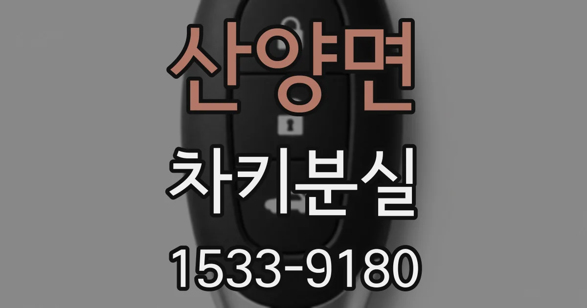 산양면 차키분실