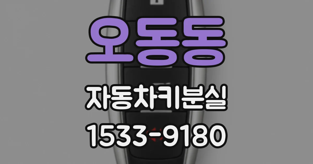 오동동 자동차키분실