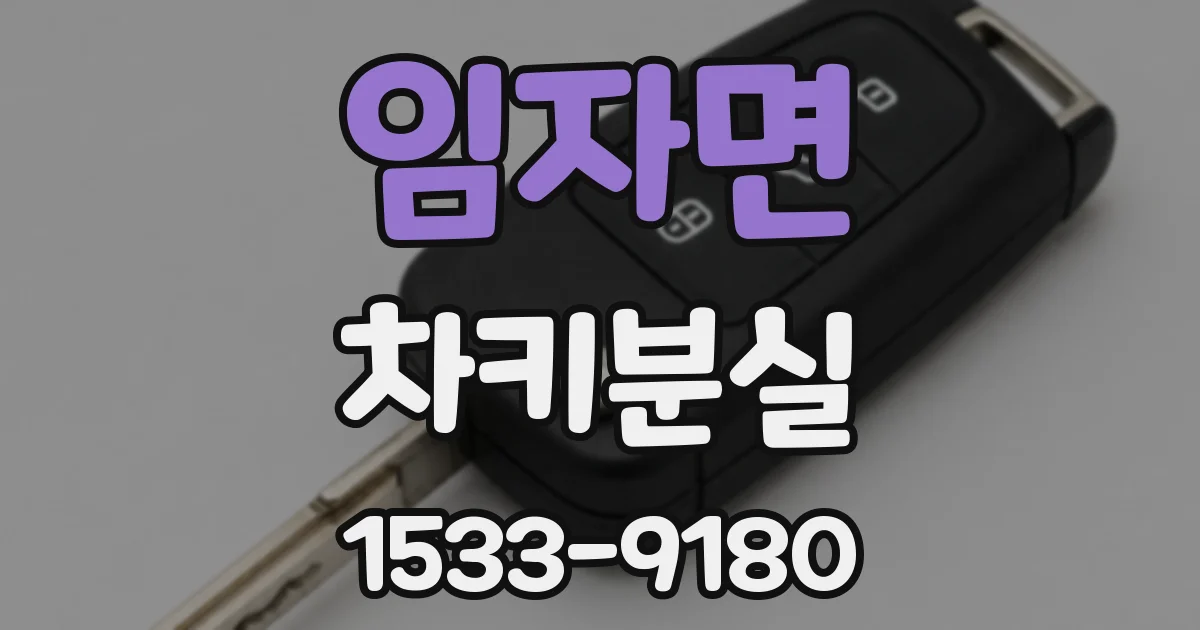 임자면 차키분실