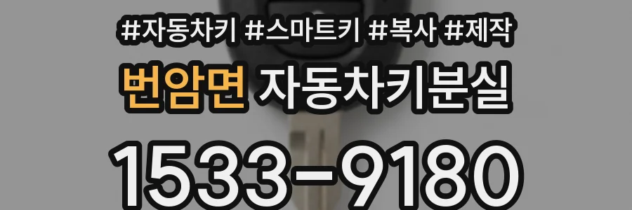 번암면 자동차키분실