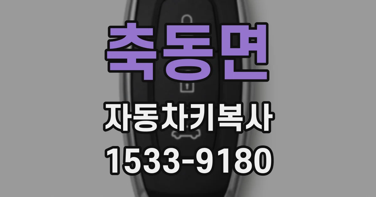 축동면 자동차키복사
