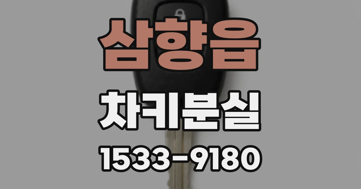 삼향읍 차키분실