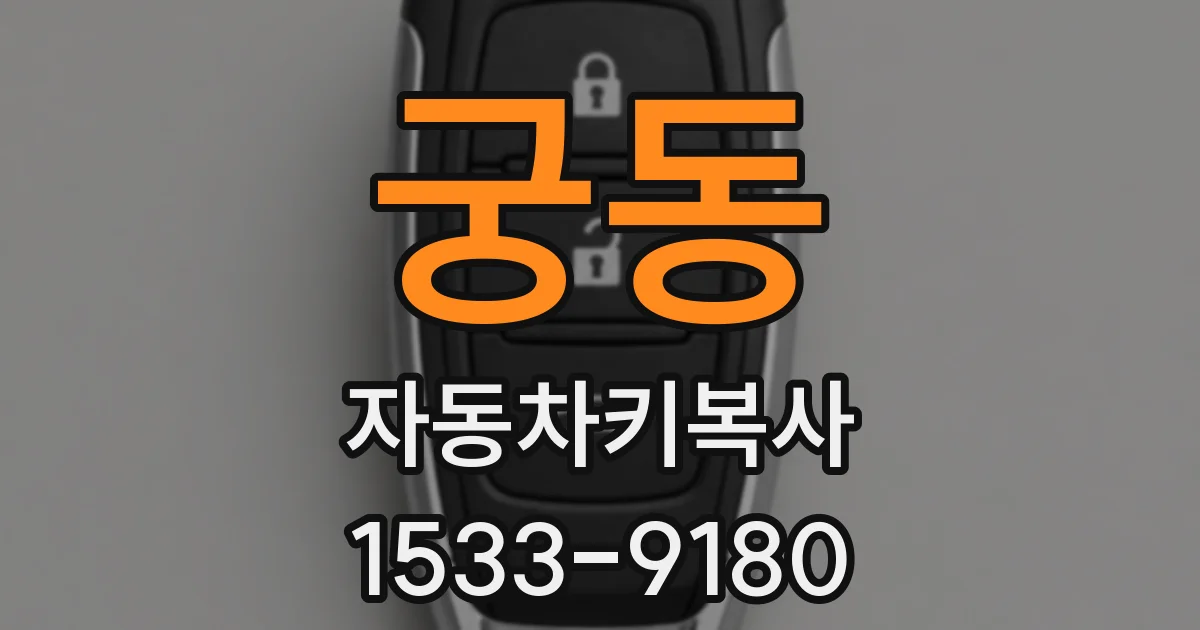 궁동 자동차키복사